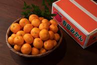 採れたて甘い手摘み有田みかん 5kg M・Lサイズ