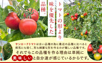 【先行予約&nbsp;2026年2月～5月出荷予定／限定50箱】全国トマト選手権銅賞受賞トマト『銀丸山口トマト』高糖度トマト　L~Mサイズ