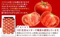 【先行予約&nbsp;2026年2月～5月出荷予定／限定50箱】全国トマト選手権銅賞受賞トマト『銀丸山口トマト』高糖度トマト　L~Mサイズ