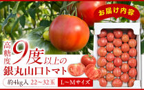 【先行予約&nbsp;2026年2月～5月出荷予定／限定50箱】全国トマト選手権銅賞受賞トマト『銀丸山口トマト』高糖度トマト　L~Mサイズ