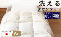 洗える&nbsp;羽毛&nbsp;肌掛け布団&nbsp;1枚&nbsp;日本製&nbsp;シングル&nbsp;ダックダウン85％&nbsp;夏用