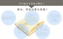 洗える&nbsp;羽毛&nbsp;肌掛け布団&nbsp;1枚&nbsp;日本製&nbsp;シングル&nbsp;ダックダウン85％&nbsp;夏用