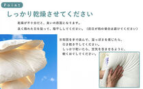 洗える&nbsp;羽毛&nbsp;肌掛け布団&nbsp;1枚&nbsp;日本製&nbsp;シングル&nbsp;ダックダウン85％&nbsp;夏用