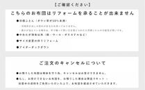 洗える&nbsp;寝袋&nbsp;【打ち直し】&nbsp;使っていない布団を再利用&nbsp;羽毛布団&nbsp;肌掛け&nbsp;シングル&nbsp;羽毛布団→寝袋3枚