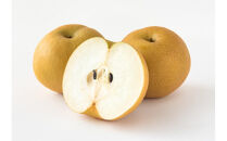 梨&nbsp;2026年&nbsp;岡山県産&nbsp;あたご梨&nbsp;約900g&nbsp;(&nbsp;1玉&nbsp;)&nbsp;お届け&nbsp;11月下旬～12月中旬