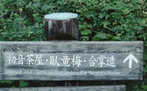 三溪園ノウメヲ使イマシタ！&nbsp;クラフトビール「麦梅酒(バクバイシュ)」