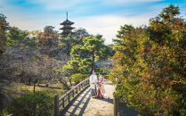 四季折々の表情が楽しめる名勝庭園「三溪園」でのウェディングフォト