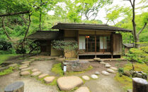 プレミアムツアー「三溪園の“秀吉”を巡る」【2026年２月23日（月・祝）午後の部】（１名様分）