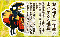 令和７年産&nbsp;新米&nbsp;なつほのか&nbsp;5kg&nbsp;&nbsp;智子さんの姫智米&nbsp;精米
