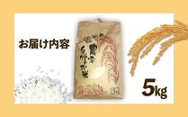 令和７年産&nbsp;新米&nbsp;なつほのか&nbsp;5kg&nbsp;&nbsp;智子さんの姫智米&nbsp;精米