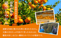 ［先行予約］訳あり&nbsp;蔵出しみかん&nbsp;約5kg&nbsp;2S～2Lサイズ混合［2026年1月10日～31日頃順次発送予定］