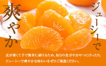 ［先行予約］訳あり&nbsp;蔵出しみかん&nbsp;約5kg&nbsp;2S～2Lサイズ混合［2026年1月10日～31日頃順次発送予定］