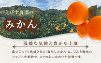 訳あり&nbsp;蔵出しみかん&nbsp;約5kg&nbsp;2S～2Lサイズ混合
