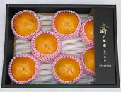 甘柿　太秋柿 輝太郎柿 詰め合わせ 5L×7個入（2.5kg以上） 化粧箱入り【2025年10月17日頃より発送】