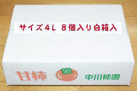 甘柿　太秋柿 輝太郎柿 詰め合わせ 4L×8個入（2.45kg以上） 白箱入り【2025年10月17日頃より発送】