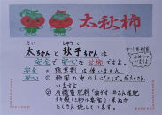 甘柿　太秋柿 輝太郎柿 詰め合わせ 4L×8個入（2.45kg以上） 白箱入り【2025年10月17日頃より発送】