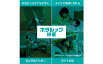 ホタルクス LEDシーリングライト（～6畳） HLDZ06403SG