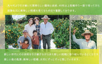【有機JAS認証】レモン島からお贈りするオーガニックレモン 4kg 有機レモン 2026年2月以降発送予定 産直 国産 有機栽培