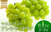 ［先行予約］和歌山&nbsp;有田産&nbsp;マスカットオブアレキサンドリア&nbsp;約1kg&nbsp;2～3房&nbsp;［2026年8月下旬より順次発送予定］