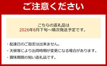 ［先行予約］和歌山&nbsp;有田産&nbsp;種なし&nbsp;BKシードレス&nbsp;約1kg&nbsp;2～3房&nbsp;［2026年8月下旬より順次発送予定］