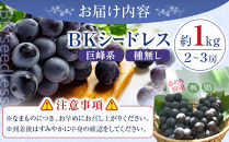 ［先行予約］和歌山&nbsp;有田産&nbsp;種なし&nbsp;BKシードレス&nbsp;約1kg&nbsp;2～3房&nbsp;［2026年8月下旬より順次発送予定］