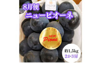 【2026年度先行予約】【定期便3回】夏の美味しい果物