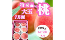 【2026年度先行予約】【定期便3回】夏の美味しい果物