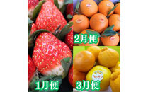 【定期便全7回】美味しい果物定期便　