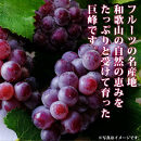 定期便 8・9月発送 紀州有田産旬のフルーツセット（種なし巨峰×約2kg・梨×約2kg 化粧箱入）