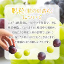 定期便&nbsp;8・9月発送&nbsp;紀州有田産旬のフルーツセット（種なし巨峰×約2kg・梨×約2kg&nbsp;化粧箱入）