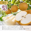 定期便&nbsp;8・9月発送&nbsp;紀州有田産旬のフルーツセット（種なし巨峰×約2kg・梨×約2kg&nbsp;化粧箱入）