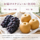 定期便&nbsp;8・9月発送&nbsp;紀州有田産旬のフルーツセット（種なし巨峰×約2kg・梨×約2kg&nbsp;化粧箱入）