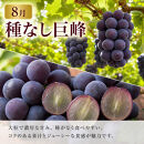 定期便&nbsp;8・9月発送&nbsp;紀州有田産旬のフルーツセット（種なし巨峰×2房（約800g〜1kg）・梨×3玉&nbsp;化粧箱入）