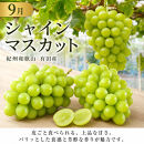 定期便&nbsp;8・9月発送&nbsp;紀州有田産旬のフルーツセット（種なし巨峰＆梨セット×計約2kg・シャインマスカット×約2kg）