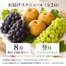 定期便&nbsp;8・9月発送&nbsp;紀州有田産旬のフルーツセット（種なし巨峰＆梨セット×計約2kg・シャインマスカット×約2kg）