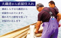 湘南しらす　3色セット