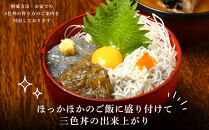 湘南しらす　3色セット