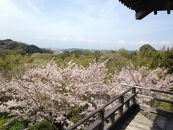 鎌倉&nbsp;らい亭　2026年お正月用「おせち」