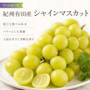 定期便&nbsp;8・9月発送&nbsp;紀州有田産旬のフルーツセット（梨×3玉&nbsp;化粧箱入・シャインマスカット×2房（約1kg〜1.4kg））