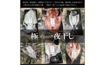 ワイズ商店の一夜干し旬魚５種とおすすめ商品詰め合わせAセット