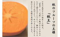 ＜2026年11月上旬から中旬&nbsp;発送＞福岡県オリジナル品種【秋王】（柿）約3.5kg
