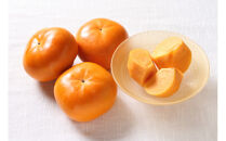 ＜2026年11月上旬から中旬&nbsp;発送＞福岡県オリジナル品種【秋王】（柿）約3.5kg