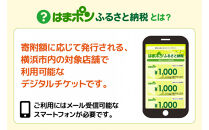 はまポンふるさと納税チケット9000円分（1000円×9枚）