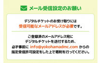 はまポンふるさと納税チケット9000円分（1000円×9枚）
