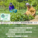 種子島安納黄金・紅いも食べ比べ5kg&nbsp;2S～Sサイズ（61g～150g）｜野菜類&nbsp;じゃがいも・サツマイモ&nbsp;サツマイモ&nbsp;種子島&nbsp;安納芋&nbsp;中種子町&nbsp;ふるさと納税&nbsp;返礼品&nbsp;こだわり野菜&nbsp;有機栽培&nbsp;産地直送&nbsp;スイートポテト&nbsp;天然甘味&nbsp;秋の味覚&nbsp;お取り寄せ&nbsp;ギフト&nbsp;おやつ用&nbsp;料理用