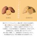 種子島産安納黄金いも3kg&nbsp;2S～Sサイズ（61g～150g）