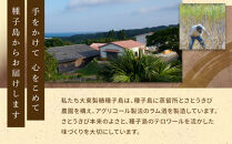 ラム酒&nbsp;ARCABUZ&nbsp;BLANC&nbsp;NATURAL&nbsp;STRENGTH&nbsp;700ml×2本セット（アーキバス&nbsp;ブラン&nbsp;ナチュラルストレングス）