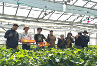 【オーガニックnico】有機栽培のいちご狩り1名分(2026年3月～4月開催)｜京都&nbsp;大原野&nbsp;いちご&nbsp;食べ放題&nbsp;人気&nbsp;おすすめ&nbsp;[&nbsp;有機いちご&nbsp;40分いちご狩り＋お土産付き&nbsp;幼児は無料&nbsp;人気&nbsp;おすすめ&nbsp;果物&nbsp;フルーツ&nbsp;フルーツ狩り&nbsp;ふるさと納税&nbsp;]