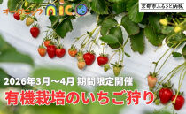 【オーガニックnico】有機栽培のいちご狩り1名分(2026年3月～4月開催)｜京都 大原野 いちご 食べ放題 人気 おすすめ [ 有機いちご 40分いちご狩り＋お土産付き 幼児は無料 人気 おすすめ 果物 フルーツ フルーツ狩り ふるさと納税 ]