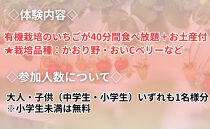 【オーガニックnico】有機栽培のいちご狩り1名分(2026年3月～4月開催)｜京都&nbsp;大原野&nbsp;いちご&nbsp;食べ放題&nbsp;人気&nbsp;おすすめ&nbsp;[&nbsp;有機いちご&nbsp;40分いちご狩り＋お土産付き&nbsp;幼児は無料&nbsp;人気&nbsp;おすすめ&nbsp;果物&nbsp;フルーツ&nbsp;フルーツ狩り&nbsp;ふるさと納税&nbsp;]